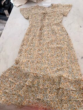 Petal and Pup Floral Dress